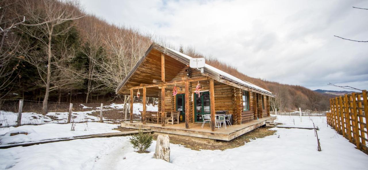 Cabana La Pantiru Valeni-Stinisoara Bagian luar foto